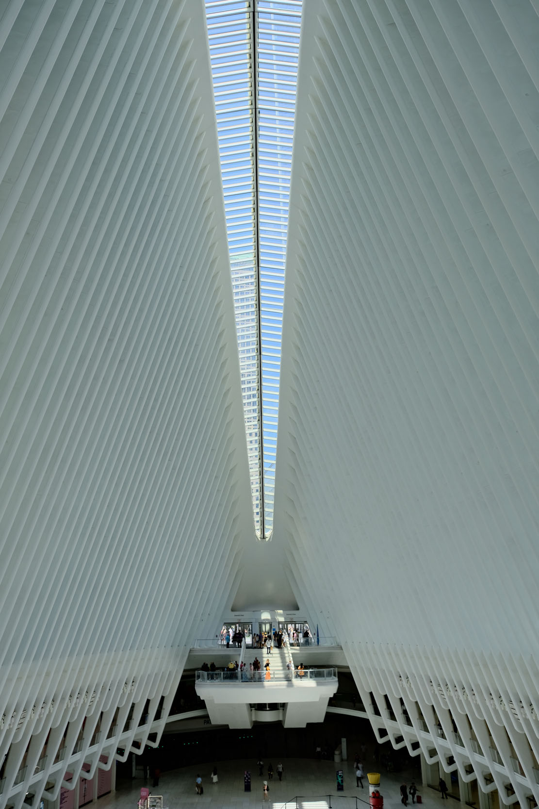 Image 18