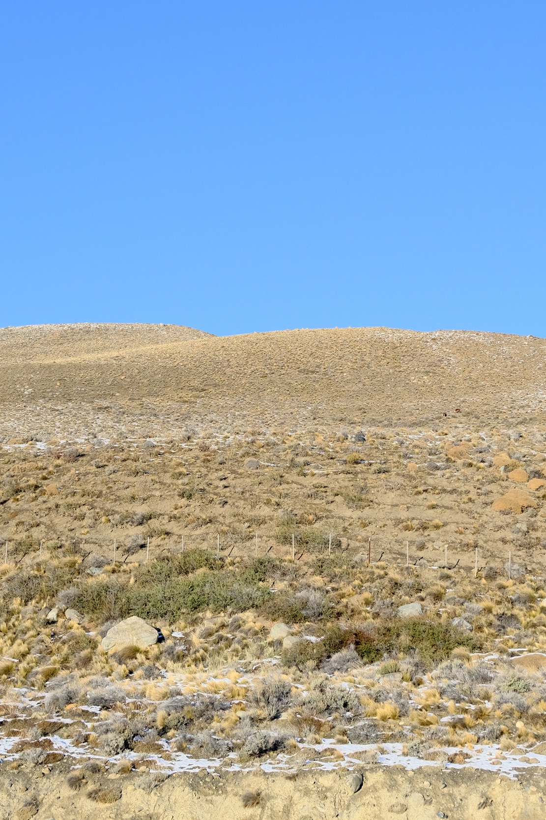 Image 67