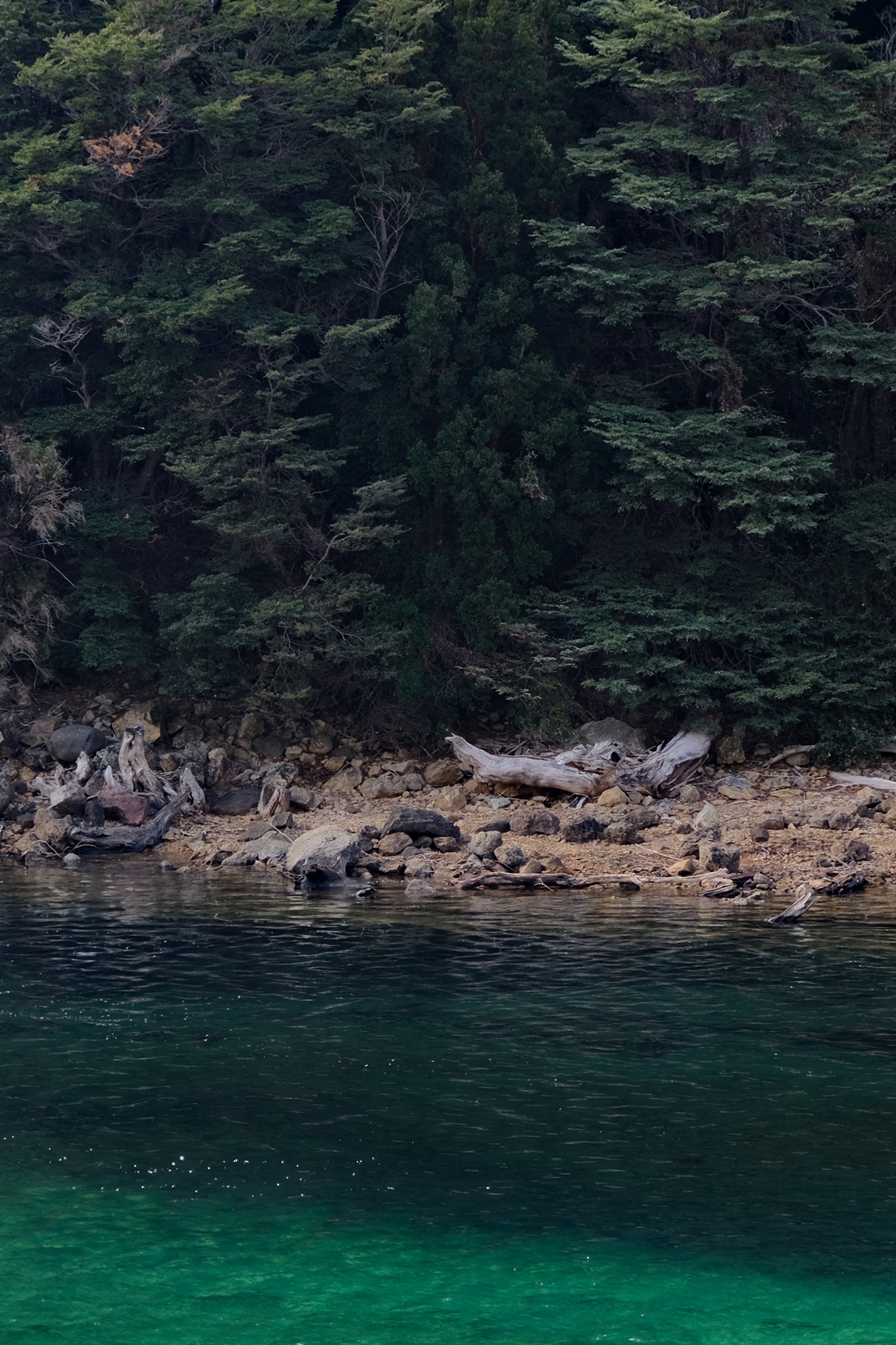 Image 90