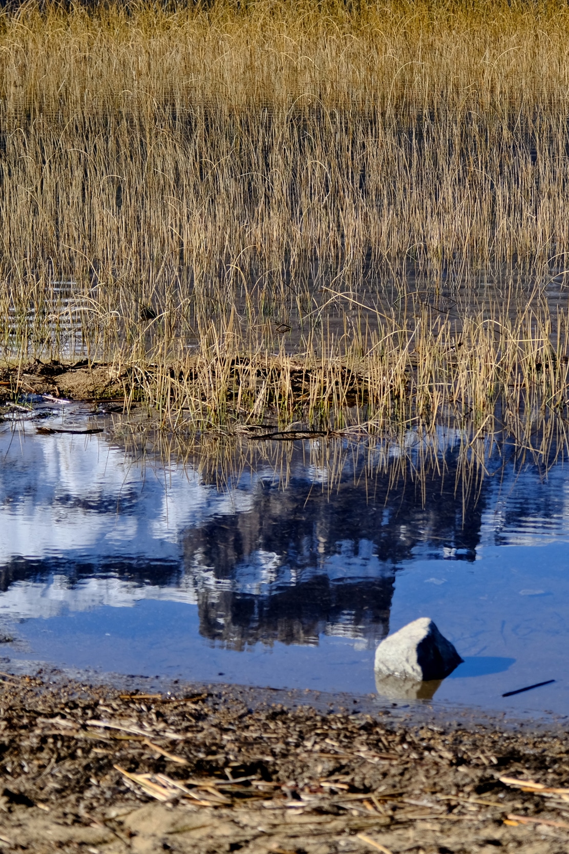 Image 115