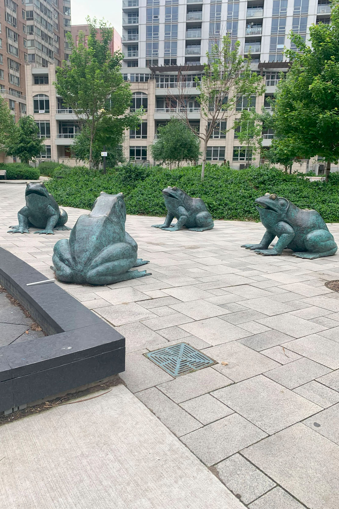 Image 39