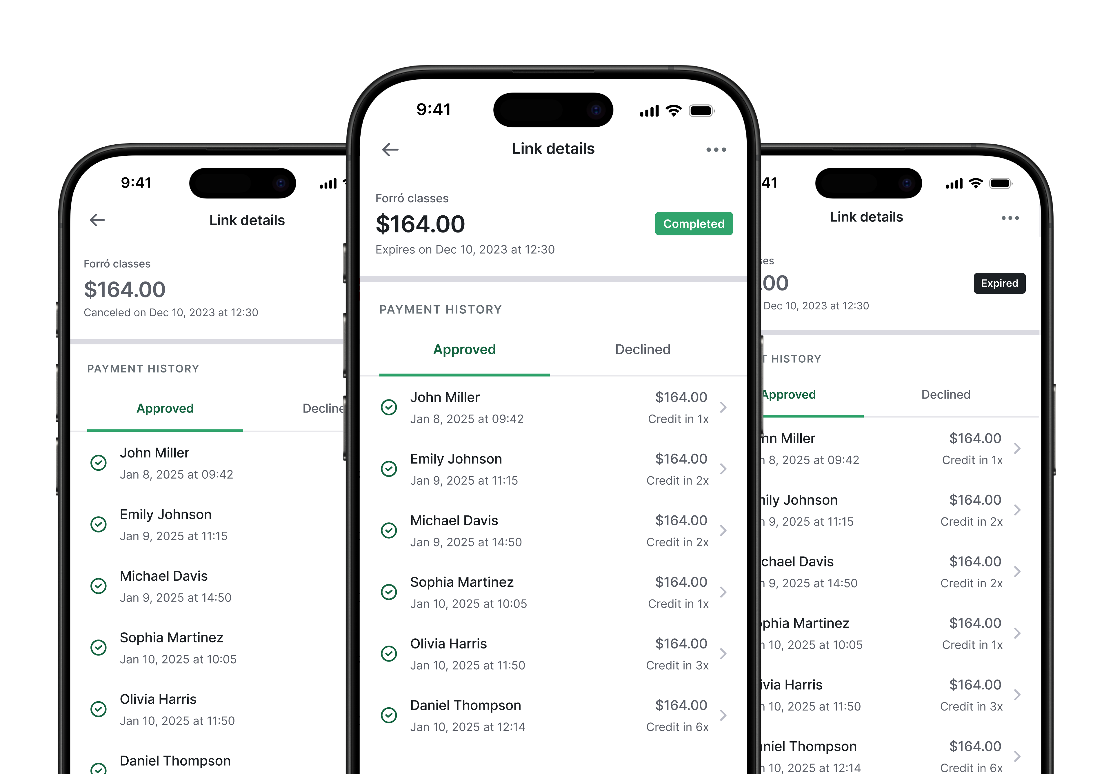Stone Link payment link details and management screen